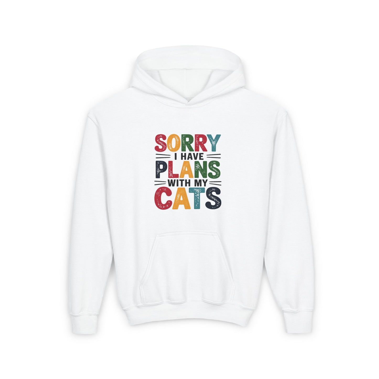 Sorry I Have Plans With My Cats Kids/Teen Hoodie
