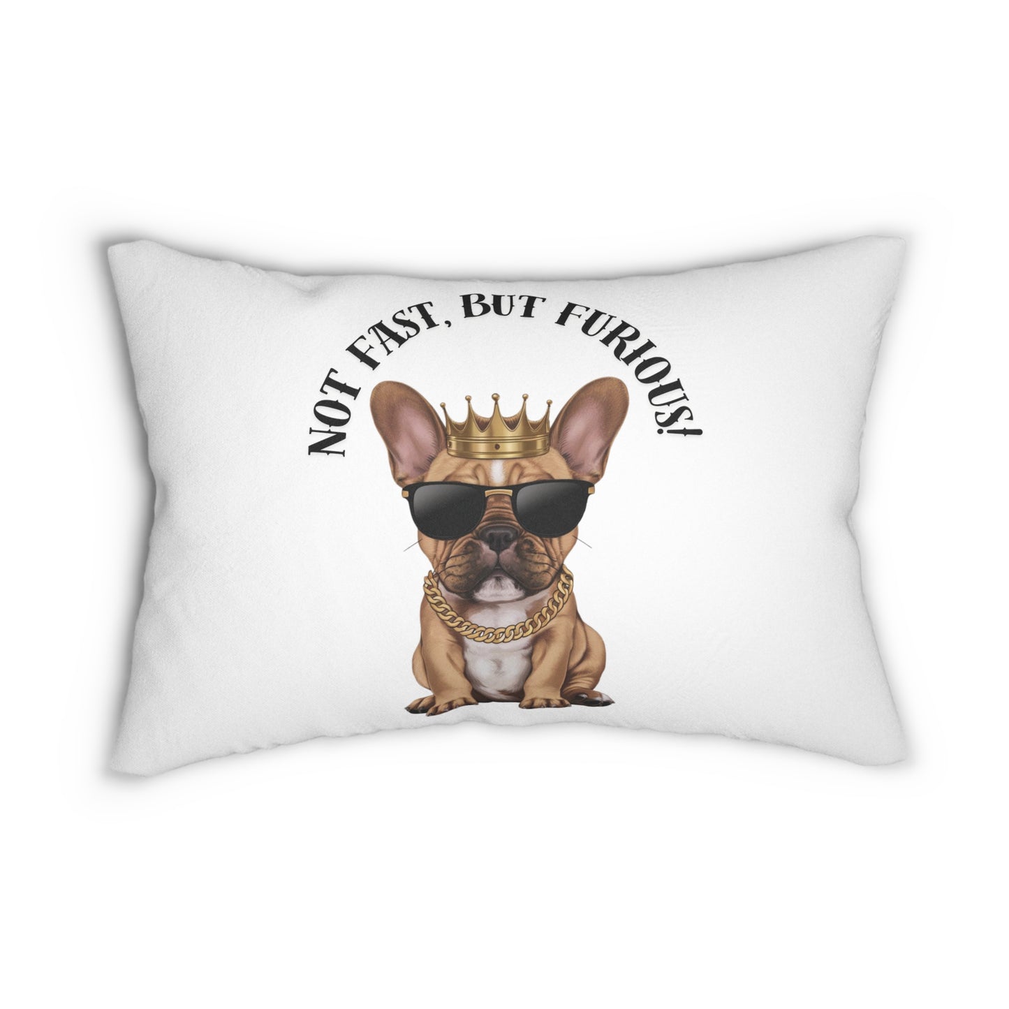 Not Fast, But Furious! Pillow