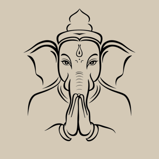 Ganesh Namaste Adult T-shirt
