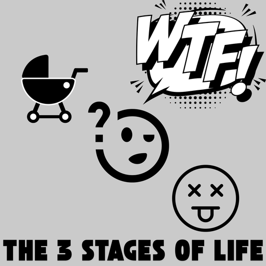 The 3 Stages Of Life - Birth - WTF - Death Adult T-shirt