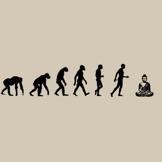 Buddha Evolution Adult T-shirt
