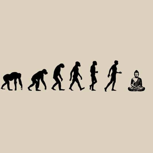 Buddha Evolution Adult Hoodie