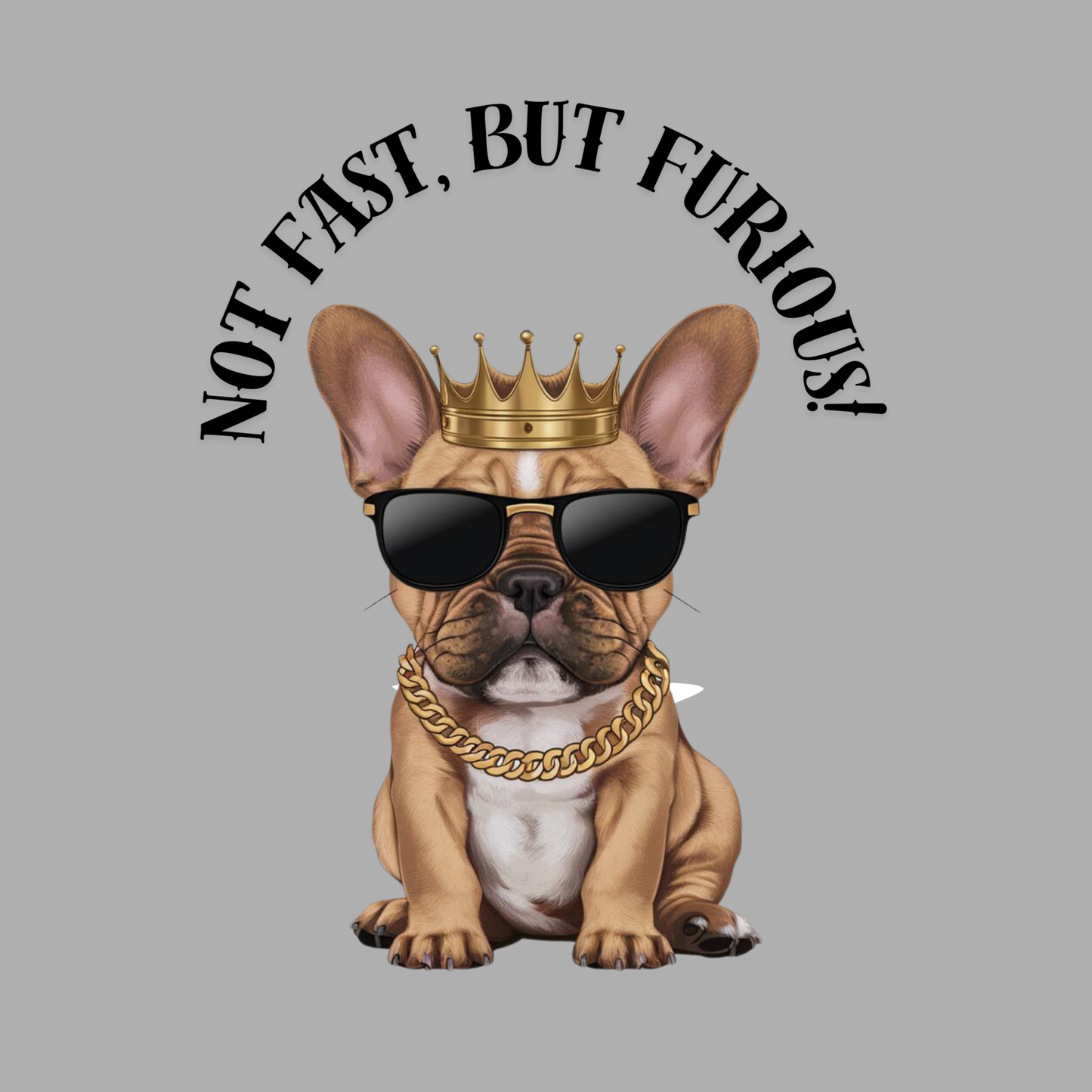 Not Fast, But Furious! Men's T-shirt