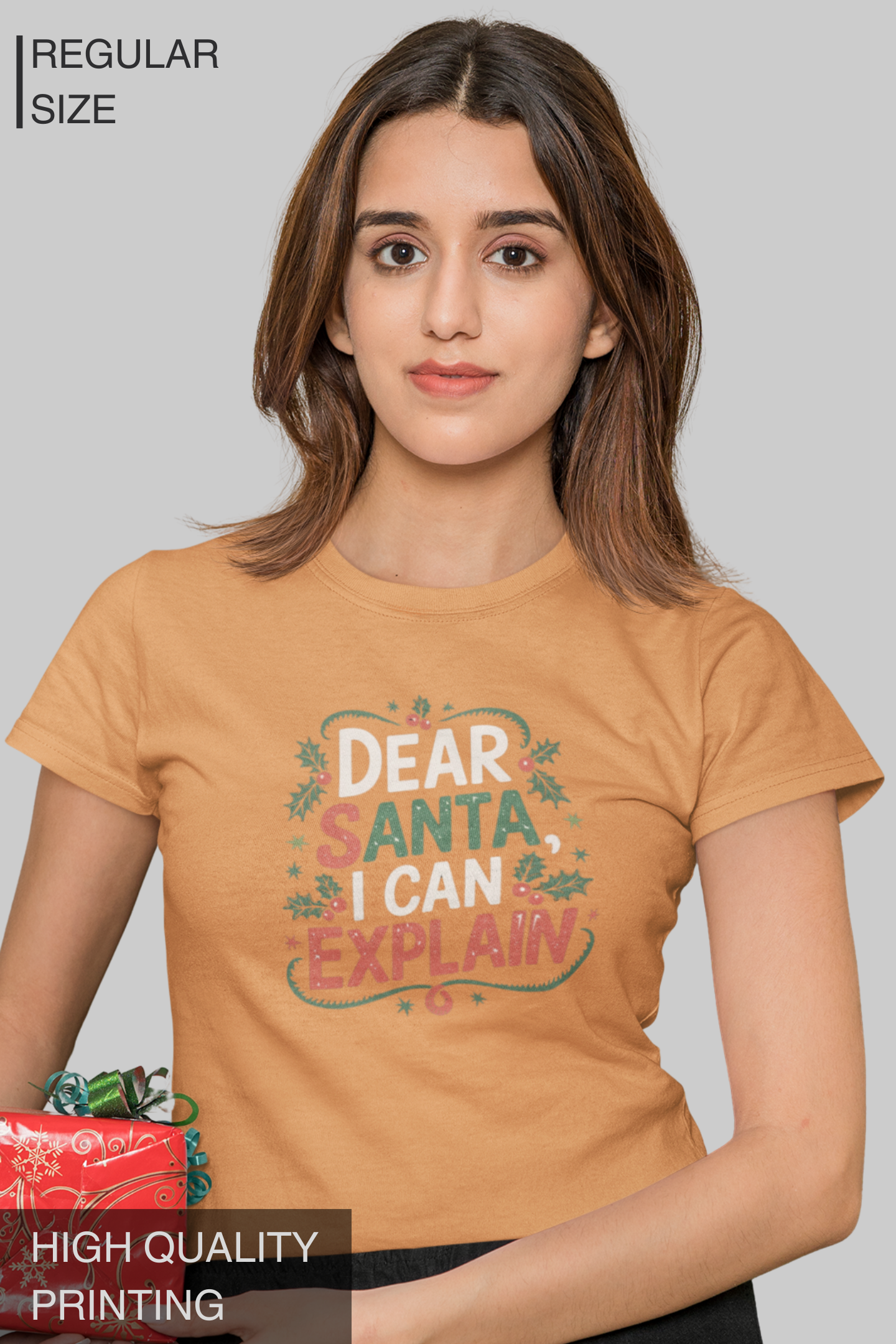 Dear Santa I Can Explain Women's TShirt